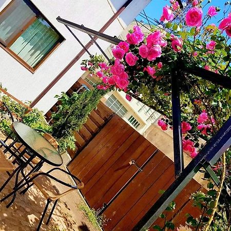 Pensiunea Casa Blanca Sulina Luaran gambar
